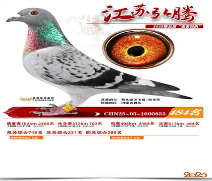 ���պ��ھ���484��