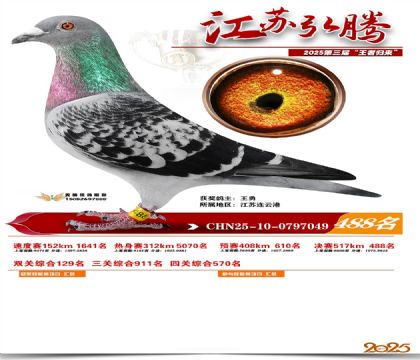 ���պ��ھ���488��