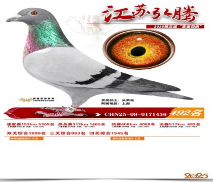 ���պ��ھ���492��