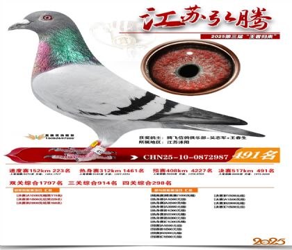 ���պ��ھ���491��