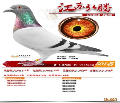 ���պ��ھ���501��