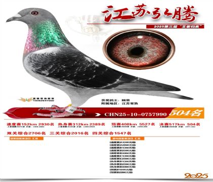 ���պ��ھ���504��