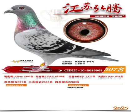 ���պ��ھ���507��