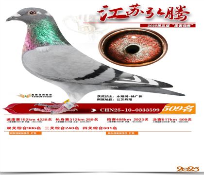 ���պ��ھ���509��