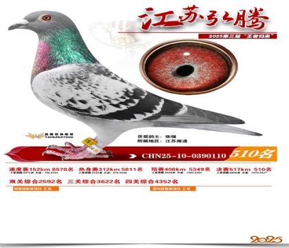 ���պ��ھ���510��