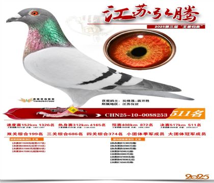 ���պ��ھ���511��