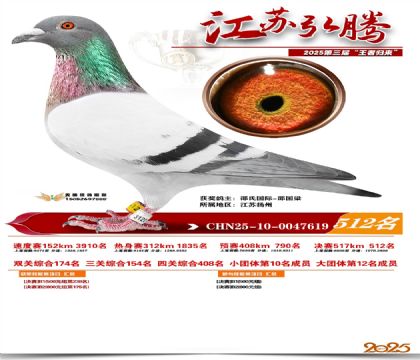 ���պ��ھ���512��