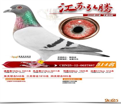 ���պ��ھ���514��