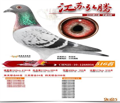 ���պ��ھ���516��