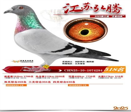 ���պ��ھ���518��