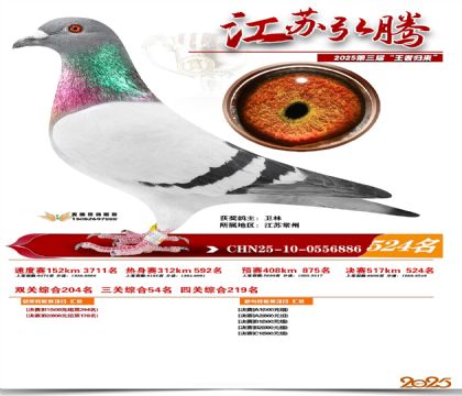 ���պ��ھ���524��