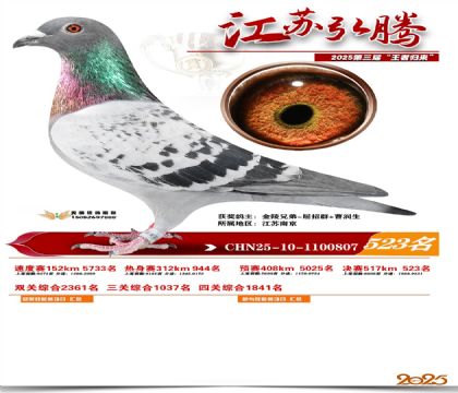 ���պ��ھ���523��