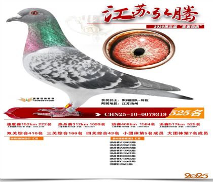 ���պ��ھ���525��