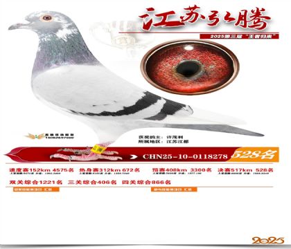 ���պ��ھ���528��