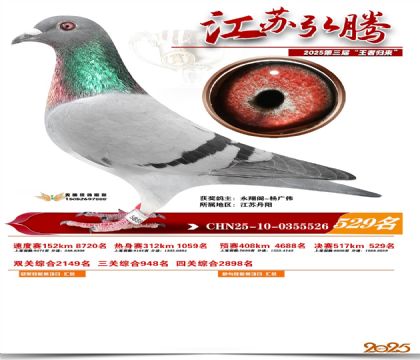 ���պ��ھ���529��