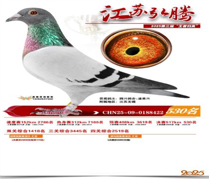 ���պ��ھ���530��