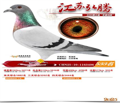 ���պ��ھ���533��