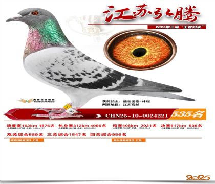 ���պ��ھ���535��