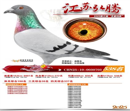 ���պ��ھ���538��