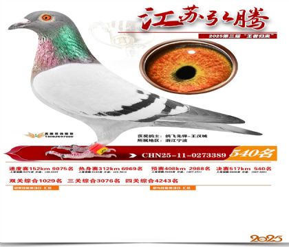 ���պ��ھ���540��