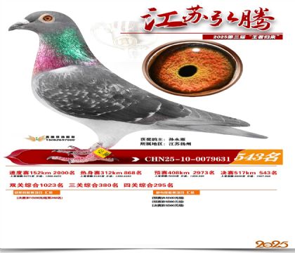 ���պ��ھ���543��