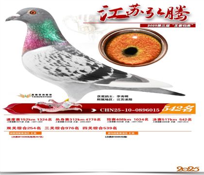 ���պ��ھ���542��