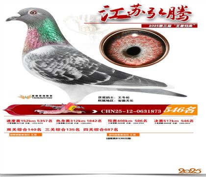 ���պ��ھ���546��