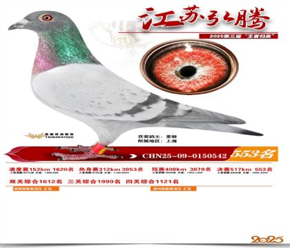 ���պ��ھ���553��