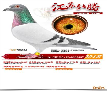 ���պ��ھ���554��