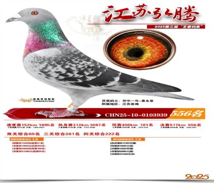 ���պ��ھ���556��