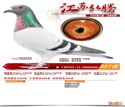 ���պ��ھ���557��