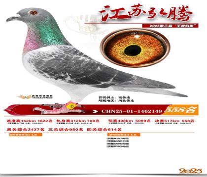 ���պ��ھ���558��