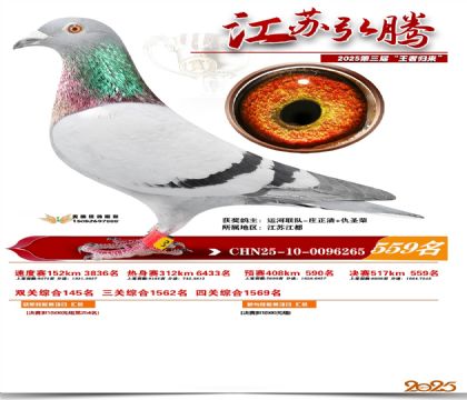 ���պ��ھ���559��