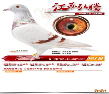 ���պ��ھ���561��