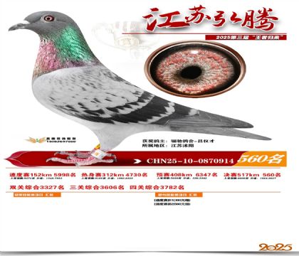 ���պ��ھ���560��