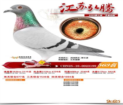 ���պ��ھ���563��