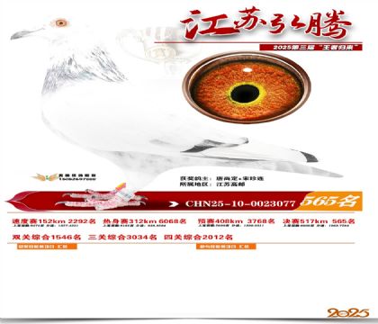 ���պ��ھ���565��