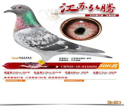 ���պ��ھ���566��