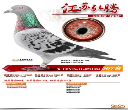 ���պ��ھ���567��