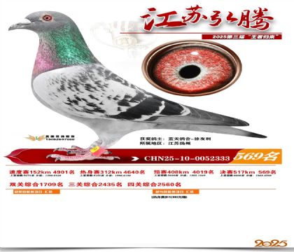 ���պ��ھ���569��