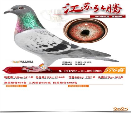 ���պ��ھ���576��