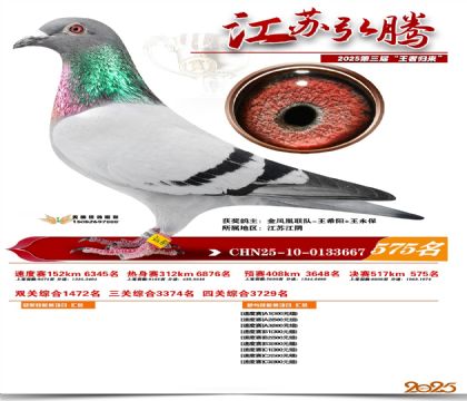 ���պ��ھ���575��