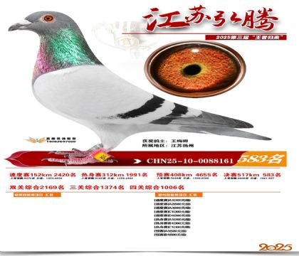 ���պ��ھ���583��