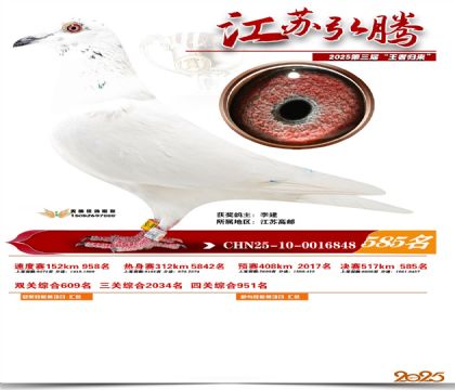 ���պ��ھ���585��