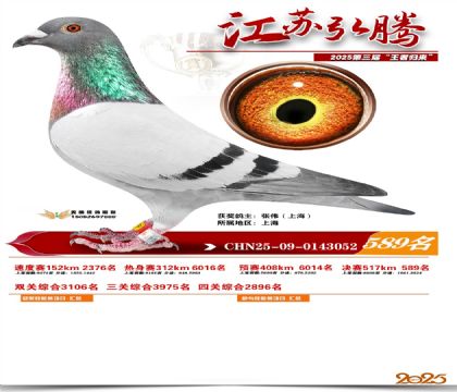 ���պ��ھ���589��