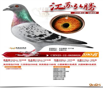 ���պ��ھ���590��