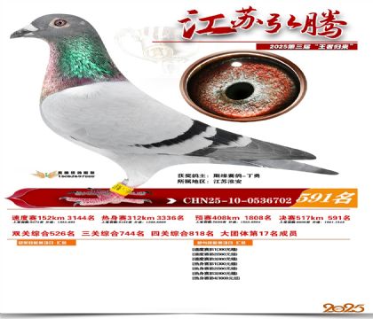 ���պ��ھ���591��