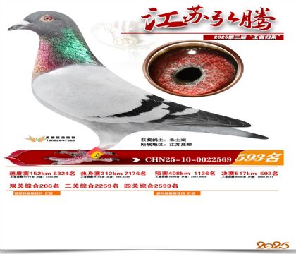 ���պ��ھ���593��