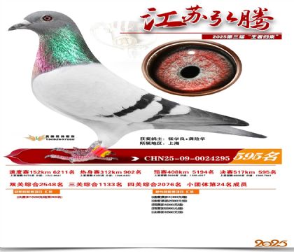 ���պ��ھ���595��