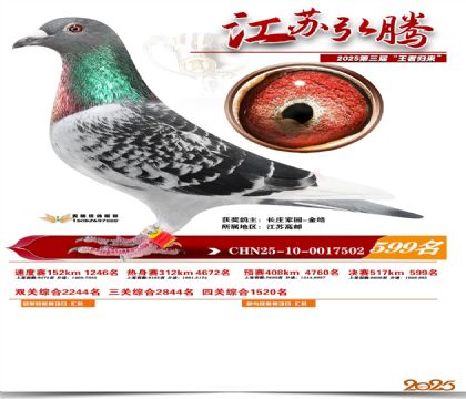 ���պ��ھ���599��